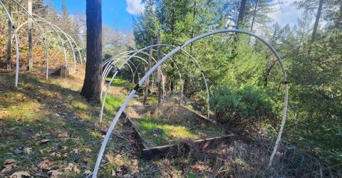 Grey Eagle, Garden Valley, CA 95633 Photo