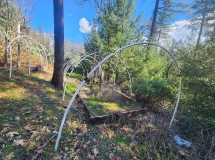 Grey Eagle, Garden Valley, CA 95633 Photo