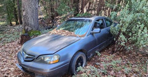 Grey Eagle, Garden Valley, CA 95633 Photo