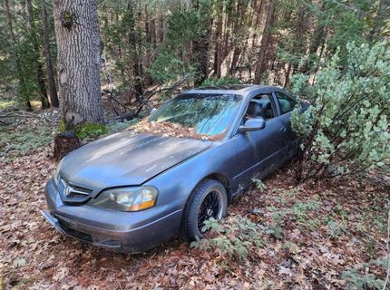 Grey Eagle, Garden Valley, CA 95633 Photo