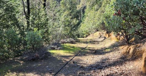 Grey Eagle, Garden Valley, CA 95633 Photo