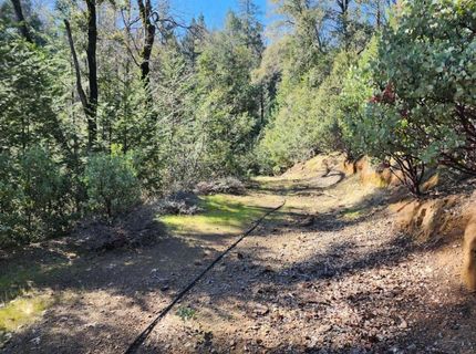 Grey Eagle, Garden Valley, CA 95633 Photo