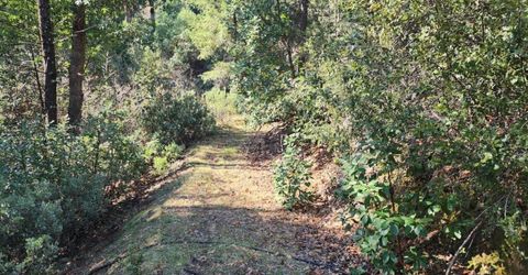 Grey Eagle, Garden Valley, CA 95633 Photo
