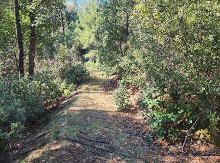 Grey Eagle, Garden Valley, CA 95633 Photo