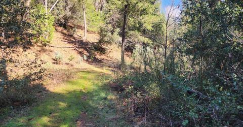 Grey Eagle, Garden Valley, CA 95633 Photo