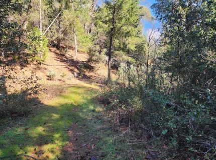 Grey Eagle, Garden Valley, CA 95633 Photo