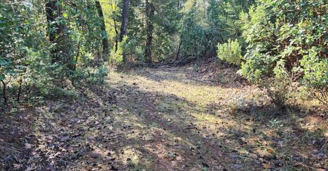 Grey Eagle, Garden Valley, CA 95633 Photo