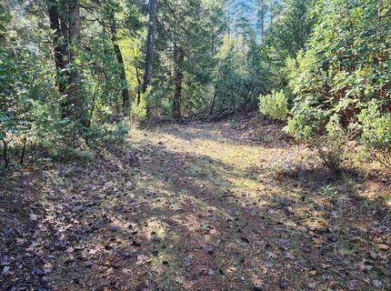 Grey Eagle, Garden Valley, CA 95633 Photo