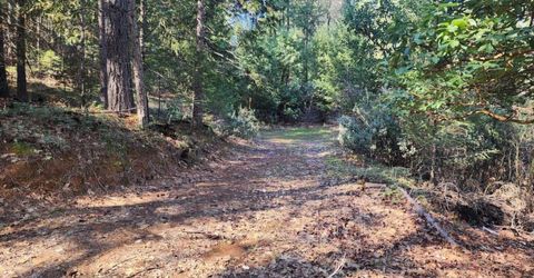 Grey Eagle, Garden Valley, CA 95633 Photo