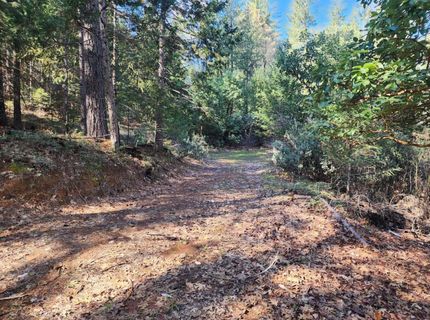 Grey Eagle, Garden Valley, CA 95633 Photo