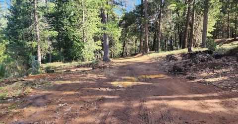 Grey Eagle, Garden Valley, CA 95633 Photo