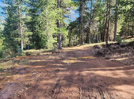 Grey Eagle, Garden Valley, CA 95633 Photo