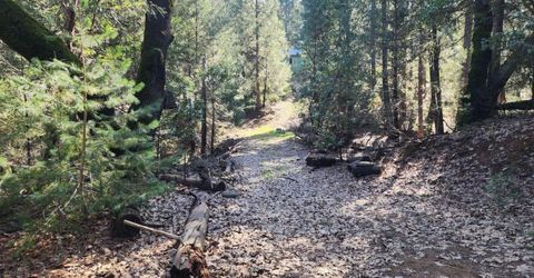 Grey Eagle, Garden Valley, CA 95633 Photo