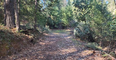 Grey Eagle, Garden Valley, CA 95633 Photo