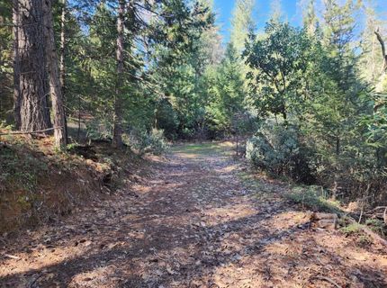 Grey Eagle, Garden Valley, CA 95633 Photo