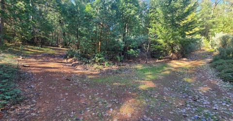 Grey Eagle, Garden Valley, CA 95633 Photo