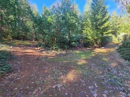 Grey Eagle, Garden Valley, CA 95633 Photo