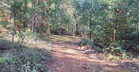 Grey Eagle, Garden Valley, CA 95633 Photo