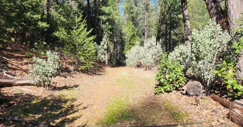 Grey Eagle, Garden Valley, CA 95633 Photo