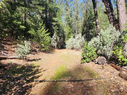 Grey Eagle, Garden Valley, CA 95633 Photo