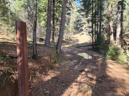 Grey Eagle, Garden Valley, CA 95633 Photo