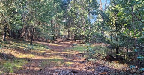 Grey Eagle, Garden Valley, CA 95633 Photo