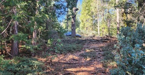 Grey Eagle, Garden Valley, CA 95633 Photo