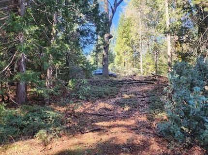 Grey Eagle, Garden Valley, CA 95633 Photo