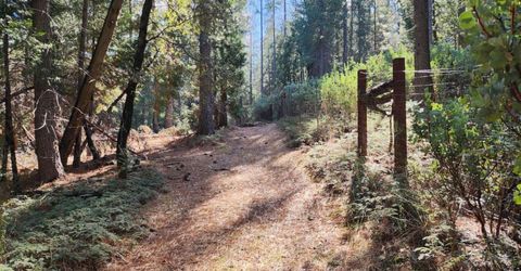 Grey Eagle, Garden Valley, CA 95633 Photo