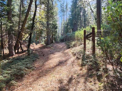 Grey Eagle, Garden Valley, CA 95633 Photo
