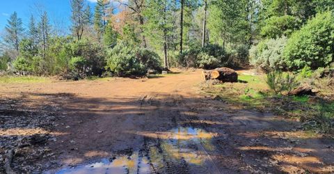 Grey Eagle, Garden Valley, CA 95633 Photo