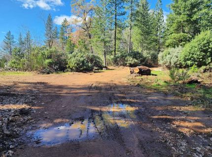 Grey Eagle, Garden Valley, CA 95633 Photo