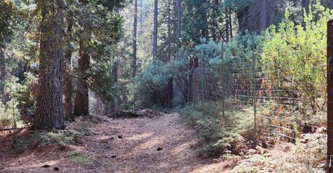 Grey Eagle, Garden Valley, CA 95633 Photo