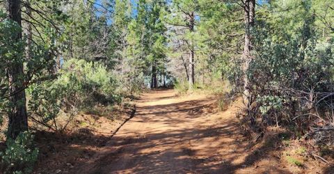 Grey Eagle, Garden Valley, CA 95633 Photo