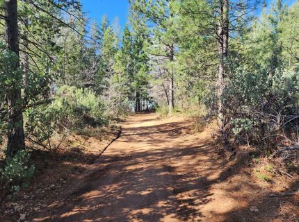 Grey Eagle, Garden Valley, CA 95633 Photo