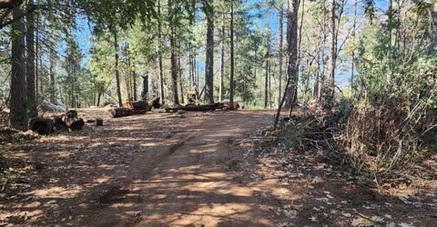 Grey Eagle, Garden Valley, CA 95633 Photo