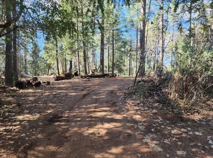 Grey Eagle, Garden Valley, CA 95633 Photo