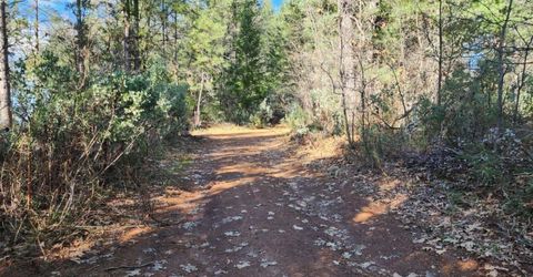 Grey Eagle, Garden Valley, CA 95633 Photo