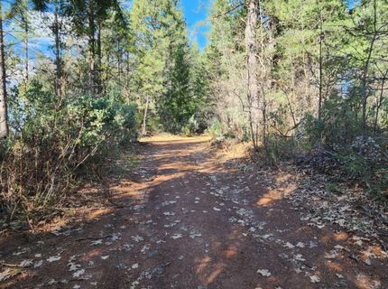 Grey Eagle, Garden Valley, CA 95633 Photo