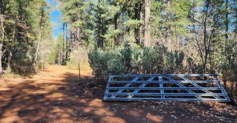 Grey Eagle, Garden Valley, CA 95633 Photo