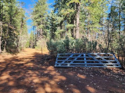 Grey Eagle, Garden Valley, CA 95633 Photo