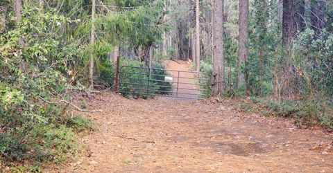 Grey Eagle, Garden Valley, CA 95633 Photo