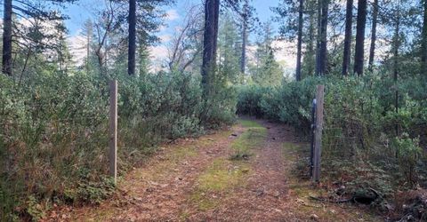 Grey Eagle, Garden Valley, CA 95633 Photo