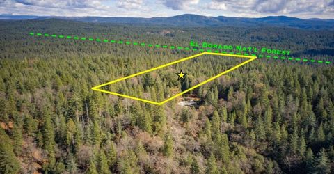 Grey Eagle, Garden Valley, CA 95633 Photo