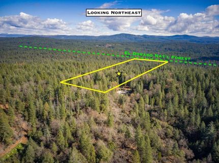 Grey Eagle, Garden Valley, CA 95633 Photo