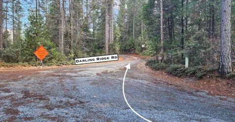 Grey Eagle, Garden Valley, CA 95633 Photo