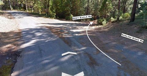 Grey Eagle, Garden Valley, CA 95633 Photo