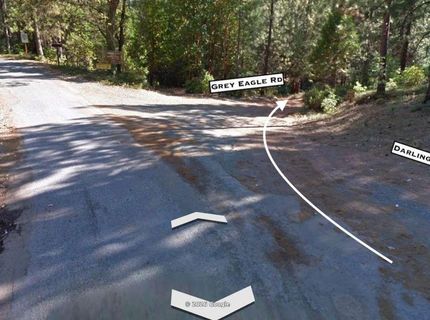 Grey Eagle, Garden Valley, CA 95633 Photo