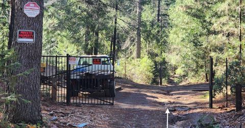 Grey Eagle, Garden Valley, CA 95633 Photo