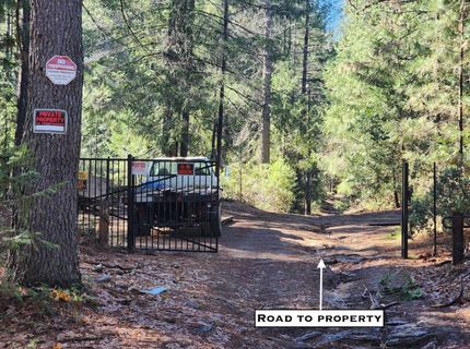 Grey Eagle, Garden Valley, CA 95633 Photo